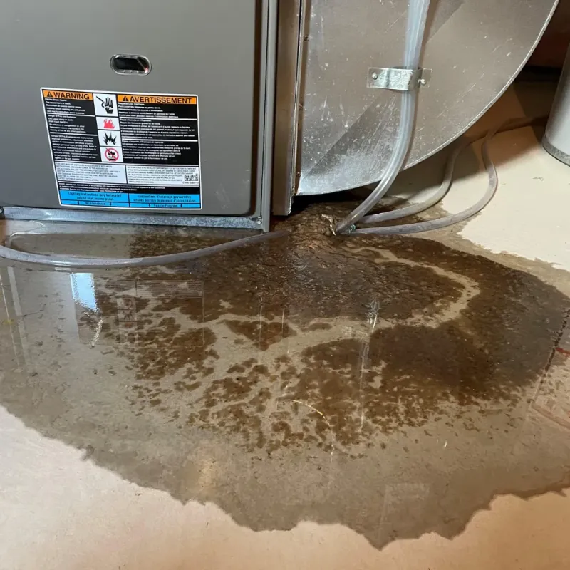 Appliance Leak Cleanup in Center, TX